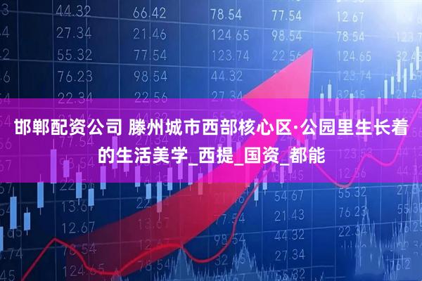 邯郸配资公司 滕州城市西部核心区·公园里生长着的生活美学_西提_国资_都能