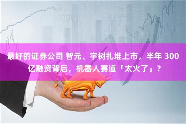 最好的证券公司 智元、宇树扎堆上市，半年 300 亿融资背后，机器人赛道「太火了」？