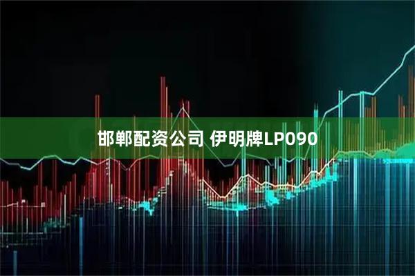 邯郸配资公司 伊明牌LP090